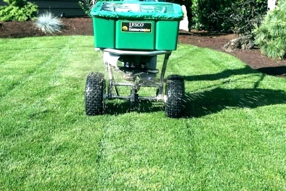 Read more about the article Montgomery Lawn Mowing Service