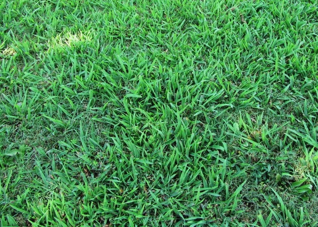 weed control montgomery al