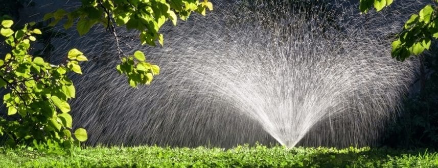 Read more about the article When to Water Your Lawn
