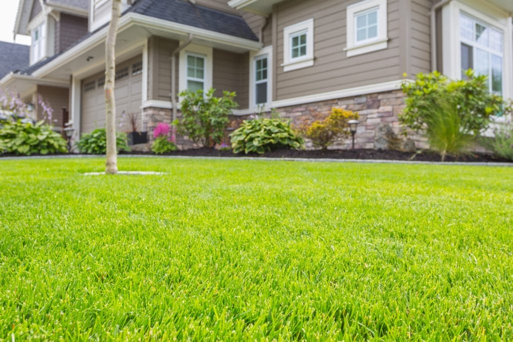 lawn care montgomery al