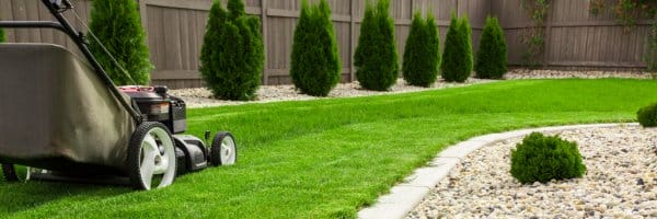 Affordable Lawn Care in Montgomery AL Vision Property Services