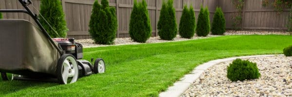 Read more about the article Affordable Lawn Care in Montgomery AL